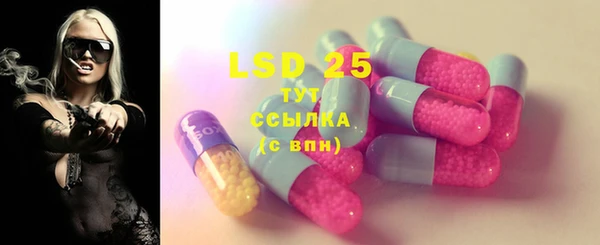 эйфоретик Горняк