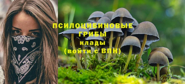 трава Алзамай