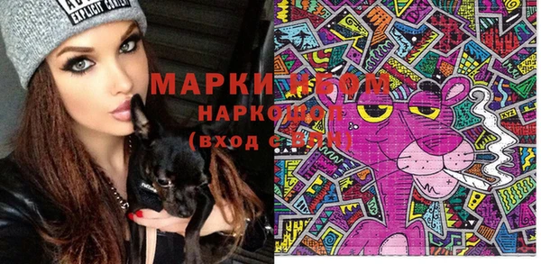 молекула духа Елизово