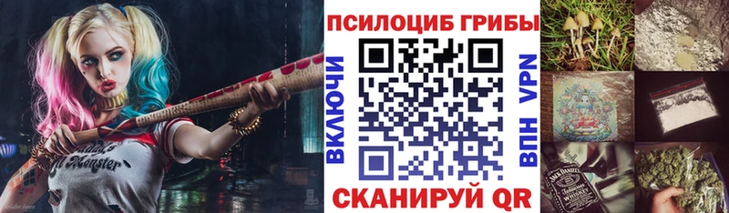 Псилоцибиновые грибы Psilocybe  Петрозаводск 